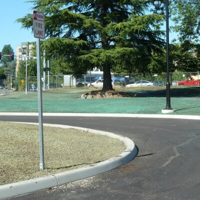 Hydroseeded grass area by road with "No Parking Fire Lane" sign and trees.