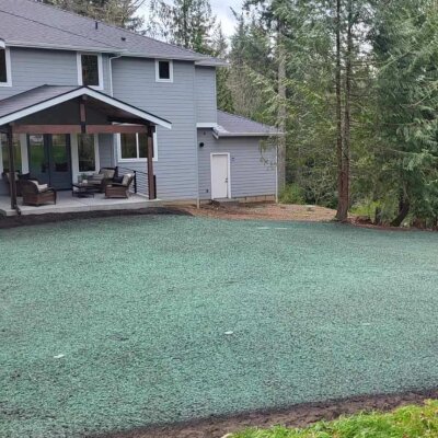 Freshly hydroseeded lawn near house with trees in Washington State.