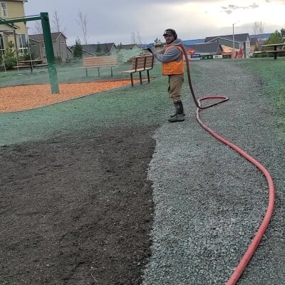 Worker standing next to hydroseeded lawn with hose at a park.