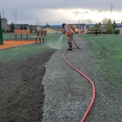 Worker watering grass seed at park with hose during cloudy day.