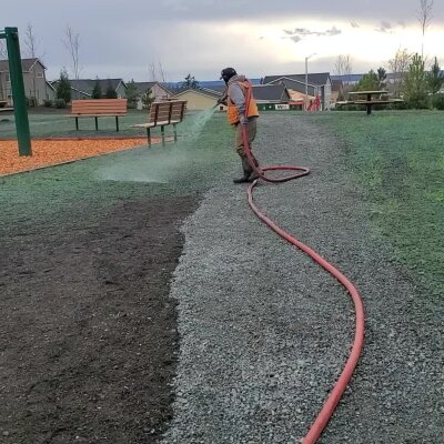 Worker watering new grass seed at park with red hose and spray nozzle.