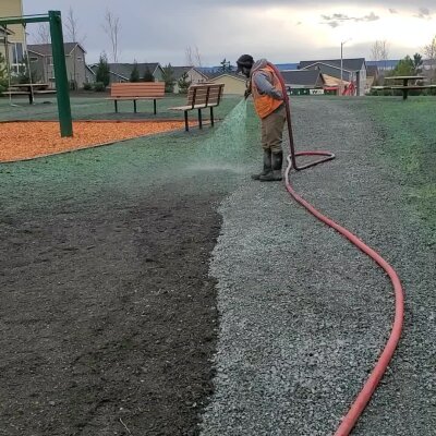Worker watering grass seed on new lawn with hose at playground park.