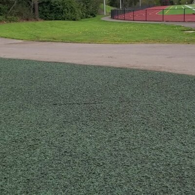 Outdoor track field with green artificial turf and running track in the background.