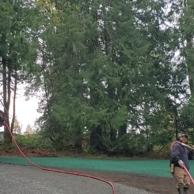 Firefighter with hose walking near tall trees and green underbrush.