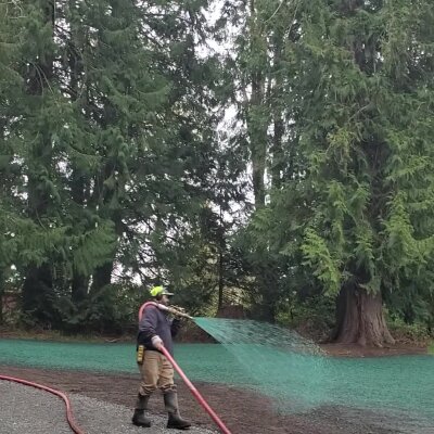 Firefighter watering plants with a hose in a wooded area.