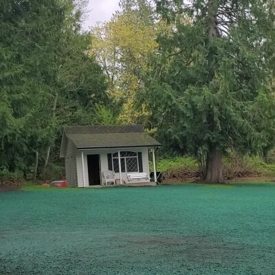 Image of a small shed on a green lawn with surrounding trees.