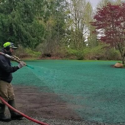 Man spraying green hydroseed mixture on ground for lawn growth.