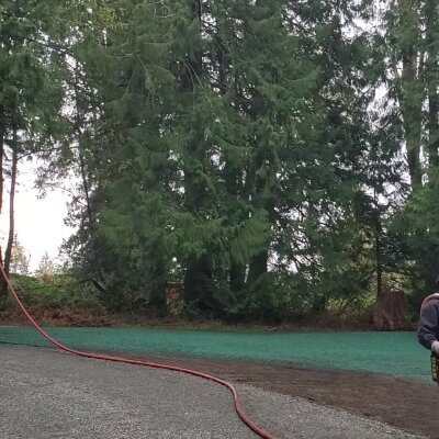 Person using hose near trees on a cloudy day.