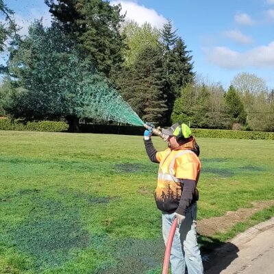 Worker spraying blue-green seed mixture on grass with hose outdoors.