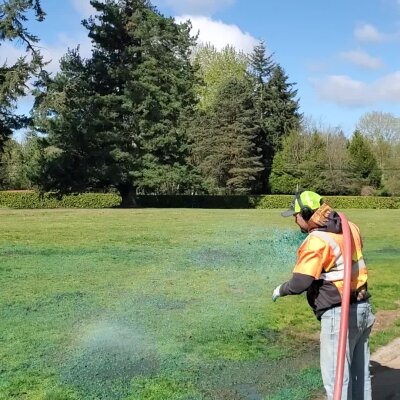 Worker spraying blue substance on grass in park with trees.