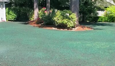 Freshly hydroseeded lawn by a Washington state hydroseeding company with trees in background.