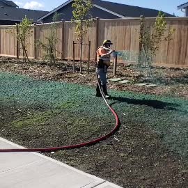 Worker hydroseeding lawn in residential backyard.