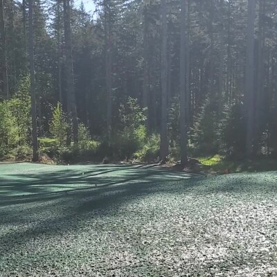 Fresh hydroseed application on lawn surrounded by forest in Washington State.