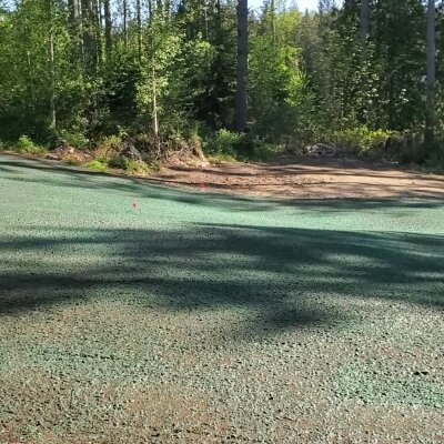 Fresh hydroseed application on ground with surrounding trees in Washington.
