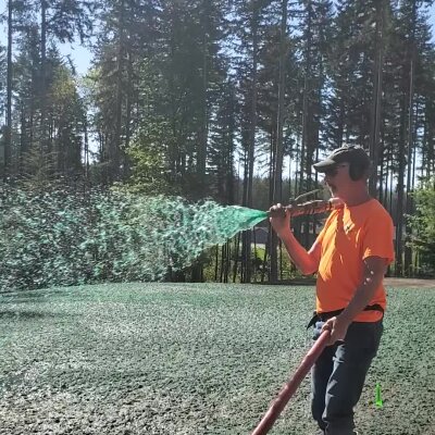 Worker hydroseeding lawn with spray hose in Washington.