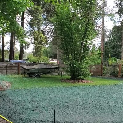 Fresh hydroseeding application on lawn in residential Washington State area.