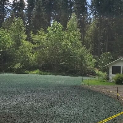 Freshly hydroseeded lawn with surrounding forest in Washington State.