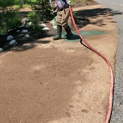 Worker hydroseeding lawn with hose in Washington State.