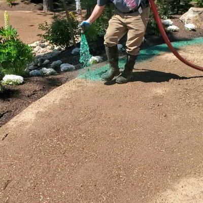 Hydroseeding technician applying seed mixture on lawn in Washington State.
