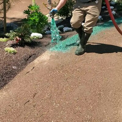 Worker applying hydroseed mixture to soil in garden.