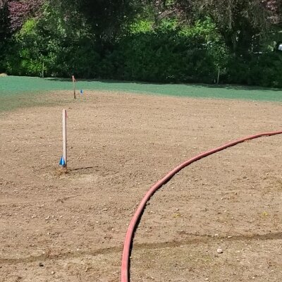 Hydroseeded lawn with marked irrigation line in Washington state.