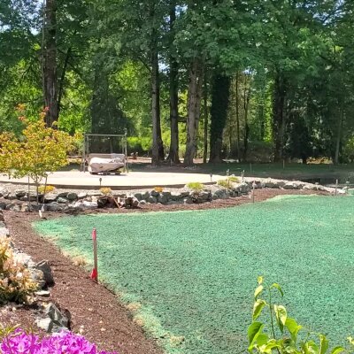 Hydroseeding process on new lawn in Washington with trees and garden swing.