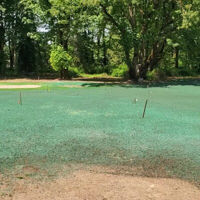 "Lawn during hydroseeding process with green mulch, stakes and trees in Washington State."