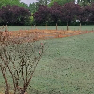 Hydroseeded lawn with trees and marked posts in Washington state.