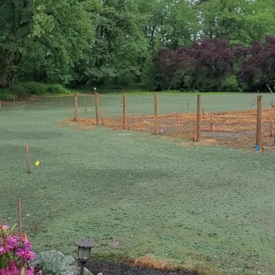 Freshly hydroseeded lawn with marked stakes in Washington state.
