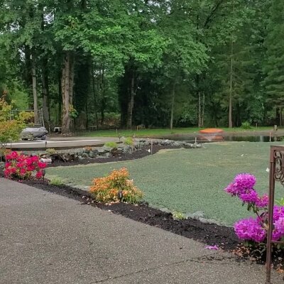 Freshly hydroseeded lawn with colorful flower border in residential garden.