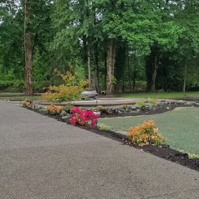 Hydroseeded lawn with landscaped garden and trees in Washington State.
