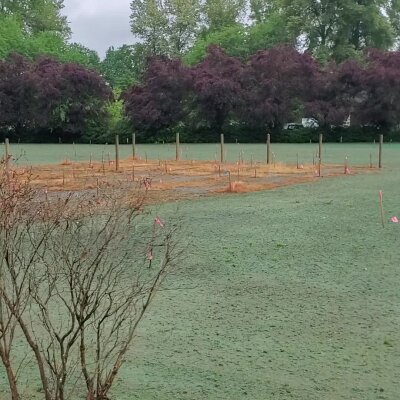 "Lawn preparation for hydroseeding with marked stakes in Washington state"
