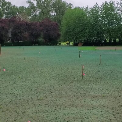 Freshly hydroseeded lawn with marker flags in Washington State.