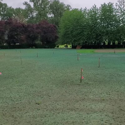 Freshly hydroseeded lawn with markers and trees in Washington State.