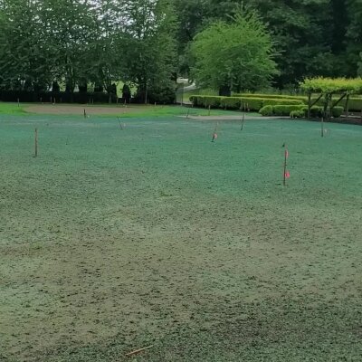 Freshly hydroseeded lawn with markers in Washington state.