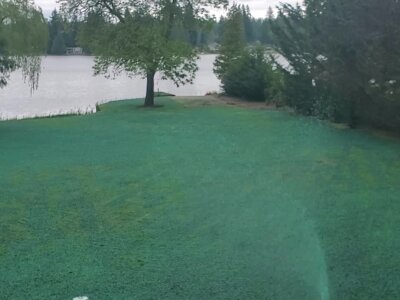 Hydroseeding process in action on a lush Washington lawn by a lakeside.