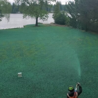 Hydroseeding process in action on a lush Washington lawn by a lakeside.