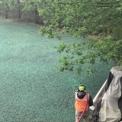 Worker hydroseeding lawn with green slurry in Washington State.