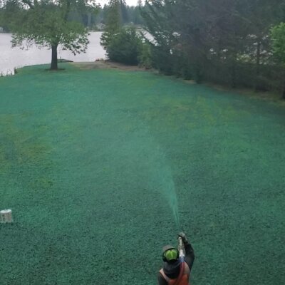 Hydroseeding lawn with spray equipment near lake in Washington State.