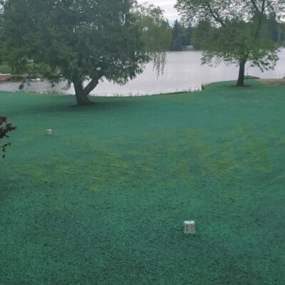 Freshly hydroseeded lawn near lake with trees in Washington State.