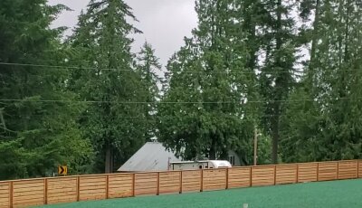 Freshly hydroseeded lawn with wooden fence and trees in Washington state.