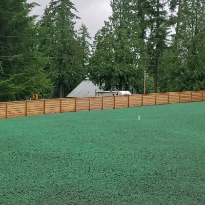 Freshly hydroseeded lawn with wooden fence and trees in Washington state.