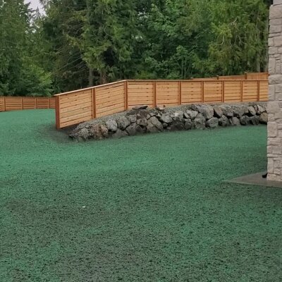 Freshly hydroseeded lawn with a wooden fence and trees in Washington State.