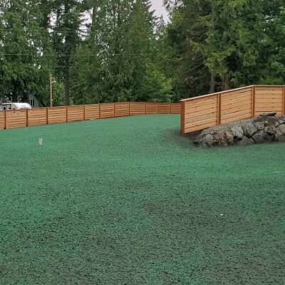 Fresh hydroseeded lawn with wooden fence in Washington state.