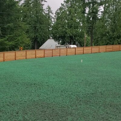 Fresh hydroseed application on residential lawn in Washington State.