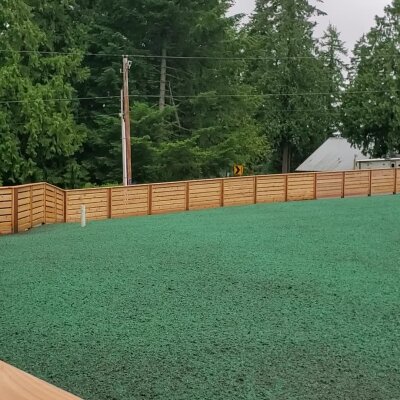 Freshly hydroseeded lawn with wooden fence and trees in background.