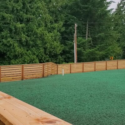 Freshly hydroseeded lawn with wooden fence in Washington State.