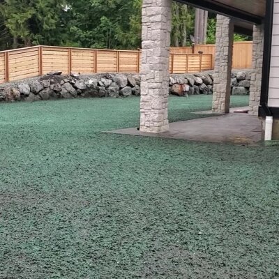 Freshly hydroseeded lawn by Washington hydroseeding company.