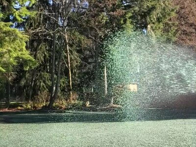 Hydroseeding process on lawn with spray application in Washington state.