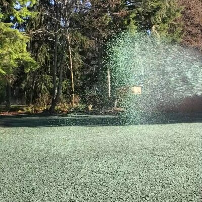 Hydroseeding process on lawn with spray application in Washington state.